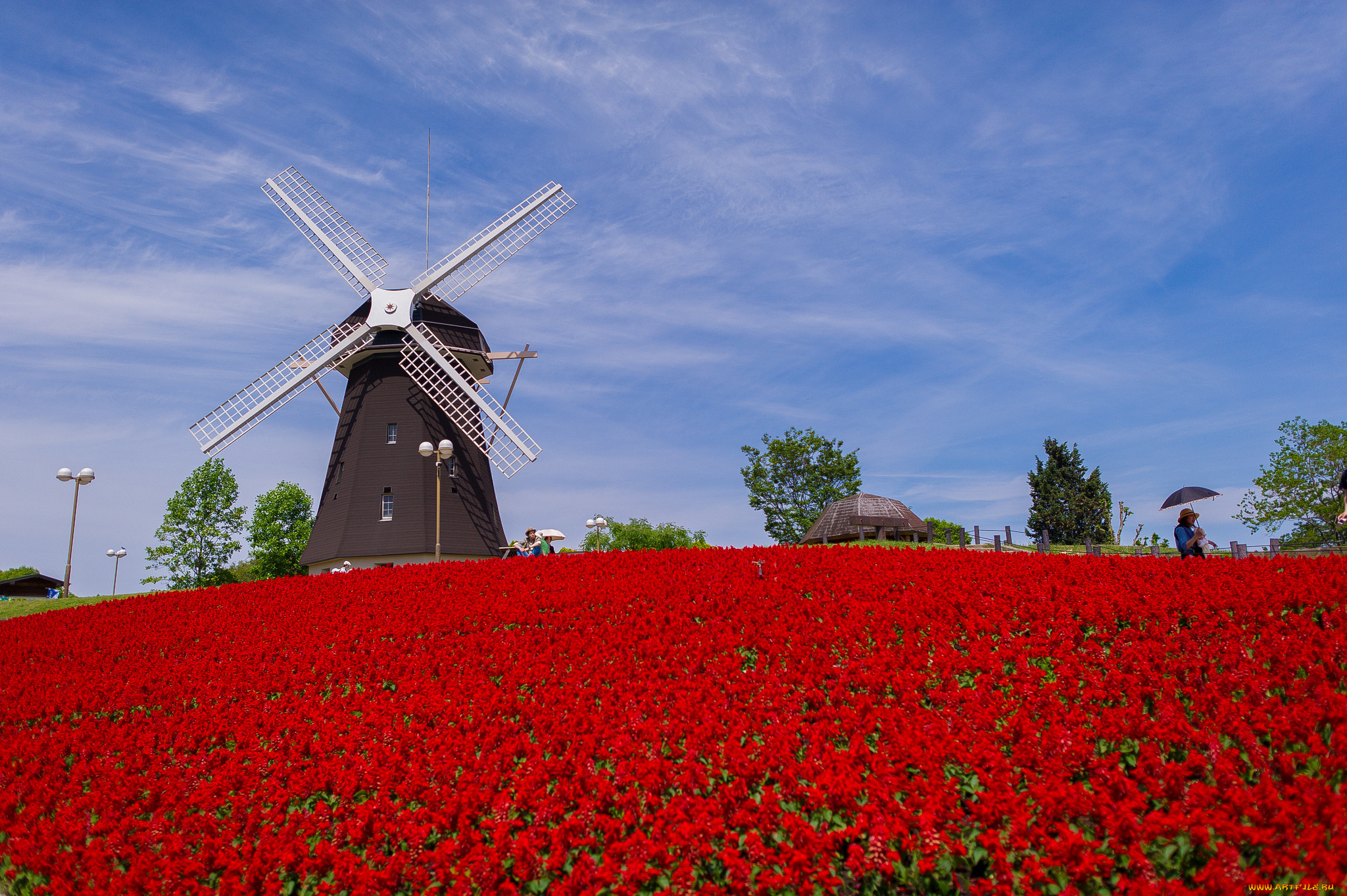 tsurumi, ryokuchi, park, osaka, japan, , , , , , 